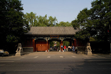 oppo免费黄色软件＼揭秘OPPO手机：免费游戏宝藏，探索隐藏娱乐乐趣