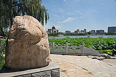 十大污污软件＼揭秘奇趣：探秘十大热门神秘应用，畅享隐私安全之旅