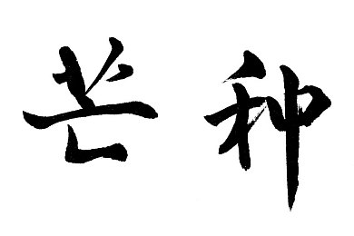 黄色软件3.03.03.0＼畅游全新世界，尽享3.03.03.0游戏盛宴