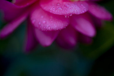 芭乐视app下载进入ios华为＼芭乐盛宴，视觉盛宴：iOS华为用户专享，芭乐视APP带你开启全新观影体验-1