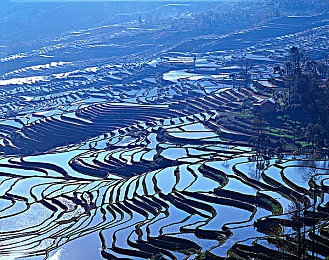 黄色3.0.3免费vivo版破解大全免费＼《黄色游戏》vivo版免费破解攻略大揭秘，玩家狂欢新篇章开启
