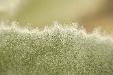 男生女生一起差差差APP＼欢乐互动，青春差界任你闯-2