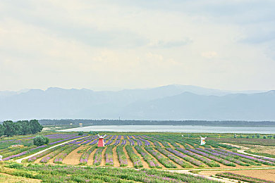 九九黄色视频＼九九视频平台：海量娱乐资源，个性化定制，畅享无广告观影新体验