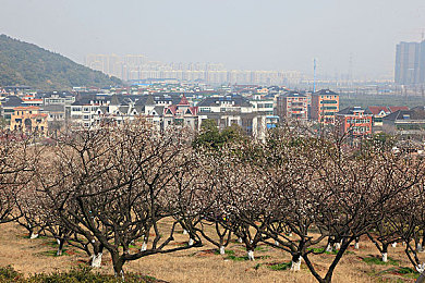 害羞草网站2025＼科幻冒险大揭秘：2025年热门游戏“害羞草世界”玩法攻略全解析-2
