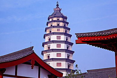 艹比软件＼奇幻冒险尽享，《艹比软件》攻略攻略深度解析，畅游神秘世界