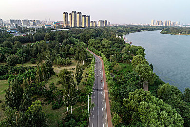 羽毛球叶叛变事件始末＼羽坛风云：叶某转会之谜，荣耀与利益的抉择-3