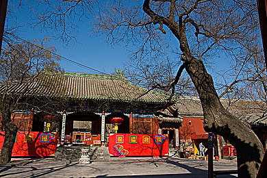 十大禁止黄色＼网络清朗守护者：文明家园共筑，十律戒黄行动-1