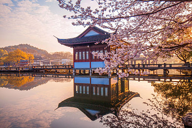 vivo手机黄色软件＼揭秘游戏生态，vivo手机助力玩家畅享安全之旅-2
