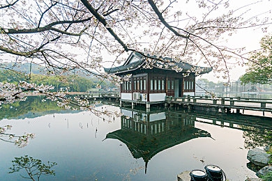 巴比伦植入1000种黄油＼奇香千种黄油，沉浸游戏世界之旅-1
