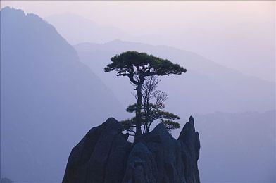葫芦里面不卖药＼探寻奇幻葫芦山，解锁葫芦娃七兄弟的奇幻之旅-3
