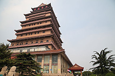 得到向上可爱无尽＼探索童趣，攀登欢乐巅峰——社交新风尚游戏掀起正能量热潮