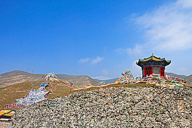 五月婷网＼五月的奇幻乐园，冒险之旅等你开启-2