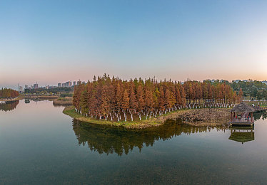 阿娇私密的毛无遮挡＼阿娇真情画卷：揭秘无遮拦星途，探寻纯粹魅力之旅-2