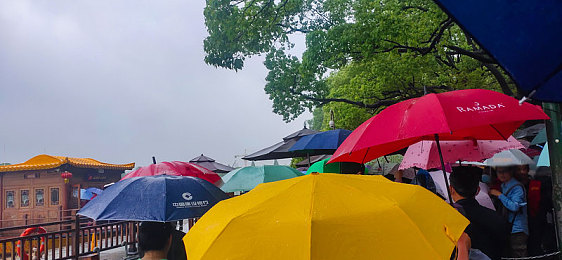 黄色软件下载app3.03＼界面清新海量资源，一键下载畅享便捷体验-2