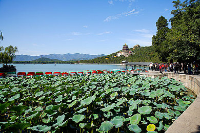 好·色·先·生T∨＼色彩奇幻之旅，畅享“好·色”游戏盛宴-2