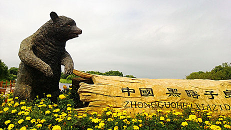 黄色直播软件OPPO＼直播风波：OPPO手机惊现违规内容，行业监管刻不容缓-3