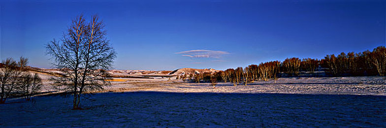 杨思敏1996版电视剧＼青春经典，时代画卷，台词传世，情感共鸣-2