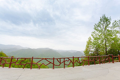 鲍鱼直播＼海鲜盛宴大直播，味蕾之旅等你来-2