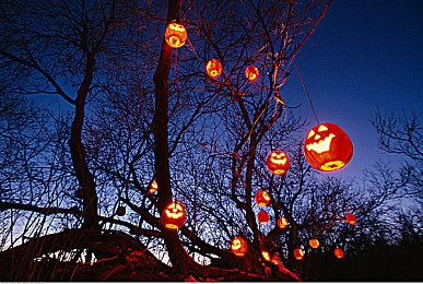skixix was was kino＼奇幻冒险之旅，解锁SKIXIX WAS WAS KINO神秘宝藏-2