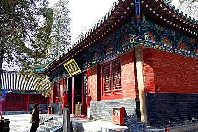 羽毛挠尿孔-3
