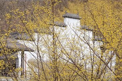夜里十大禁用软件＼揭秘夜晚隐患：守护睡眠，远离十大禁用软件风险-2