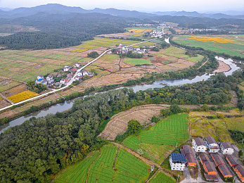 37大但人文艺术仙林踪＼仙林寻踪，艺术之旅，文化盛宴