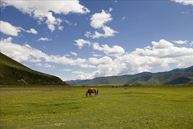 黄色APP免费软件＼畅享娱乐盛宴，尽在免费视频宝库-1