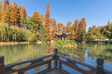 推特91＼探索推特神秘领域：揭秘全球用户热爱的独特社交圈-4