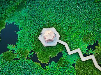 性别 自由 凸轮 管 管＼职场新纪元：性别平等，创新领航-3