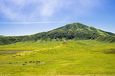 三个老头拥着躁我＼邻里纠纷引关注，社区和谐建设亟待破解-2
