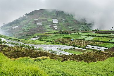 黄色软件app下载大全免费oppo版大全装＼Oppo玩家福音：海量游戏应用一网打尽，畅享指尖乐趣-3