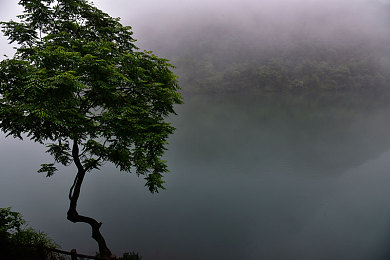 按摩师把我按的喷水＼按摩秘境：舒压之旅，体验尊享-2