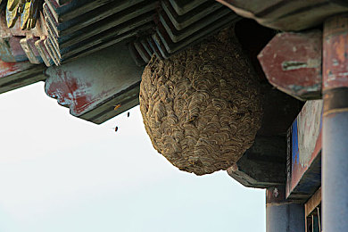 裸体 开腿羞羞游戏菠萝视频＼探索菠萝视频：裸体互动游戏的新奇魅力之旅-2
