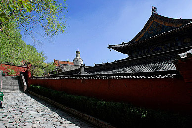 亚洲第一狼人综合＼破晓之谜，智慧狼群：亚洲狼人巅峰对决之旅-5