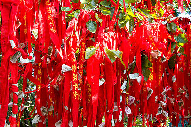 羽毛挠尿孔-4