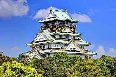天涯官网色板-2