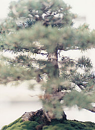 我被变态拿毛笔伸进尿孔里＼古笔惊魂：探寻毛笔伸尿孔背后的黑暗人性之谜-2