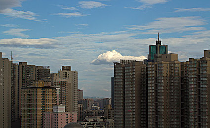 浪货今天就把你 到服为止文轩＼勇者无畏，正义守护：游戏社区正能量风暴-2