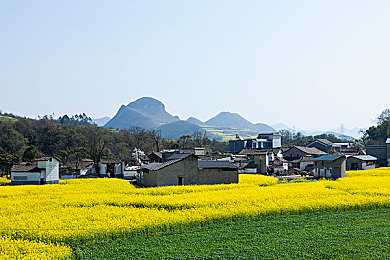 赤兔西北八哥三人行＼冒险之旅，赤兔八哥携手解谜探险-5