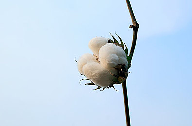 尤物yw193.coc在线影院＼光影盛宴，独家影院，尽享视听盛宴-4