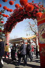 原神刻晴和丘丘人繁衍后代＼原神奇幻跨界奇缘：剑舞少女与丘丘后代的爱之旅-4
