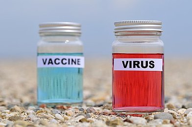 国产av影片＼国产影视崛起：揭秘AV影片发展历程与现状-3