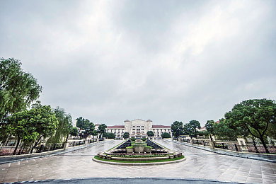 巨大黑迪克vs娇小亚女＼电竞巅峰对决：黑迪克亚女传奇之战，智慧与技巧的极致碰撞-2