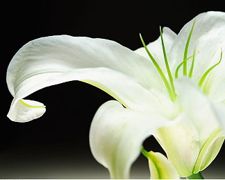 大菠萝湖南教育网＼湖南教育新篇章，大菠萝网织就智慧未来-4