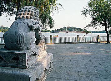 罗宾治疗青春期乔巴＼医术之光，青春守护：动漫《海贼王》中的成长启示录-4