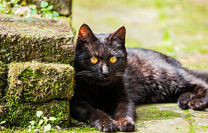 欧美大兵同性猛交＼战地情缘：军营同性互动的战斗力量-2