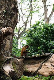 黄色软件3、3每天无＼清朗游戏空间，共筑青春防线：行业自律与监管并行-2