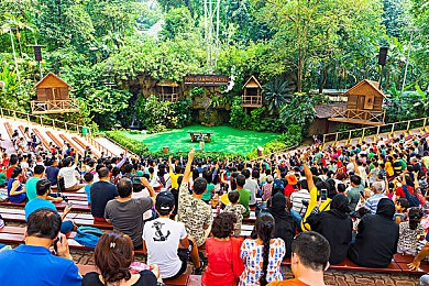 中国老太体内 精1＼奇幻之旅，老太能量秘境探秘：解锁神秘游戏新篇章-1