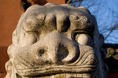 快猫成人APP＼穿梭幻境，解锁成人娱乐新纪元-3