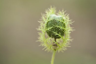 黄色软件下载3.30＼网络安全守护者：清朗网络，你我同行-4